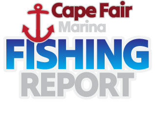 Cape Fair Marina - Fishing Report logo