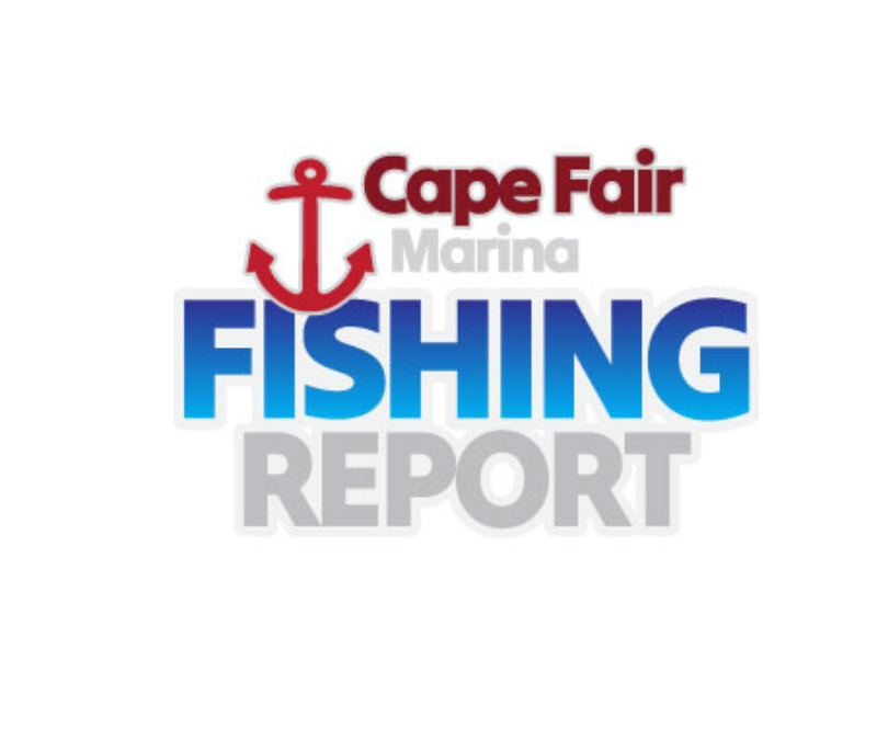 Fishing Report for September 2024