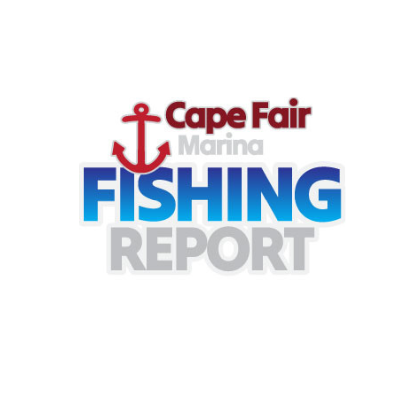Cape Fair Marina fishing report logo